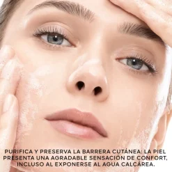 Abeille Royale Cleansing Care-In-Mousse