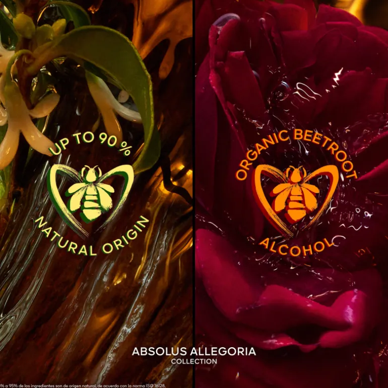 Absolus Allegoria Epices Exquises Eau de Parfum