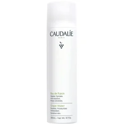 AGUA DE UVA 300ML