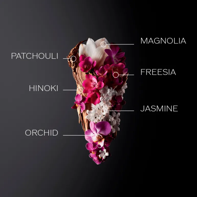 Ginza Eau de Parfum Vaporizador