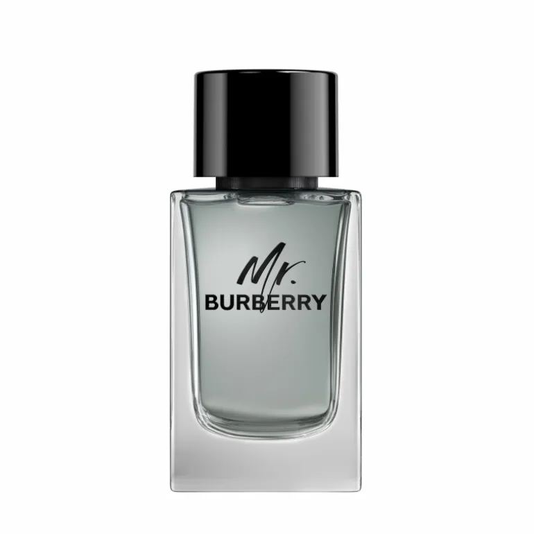 MR BURBERRY EDT