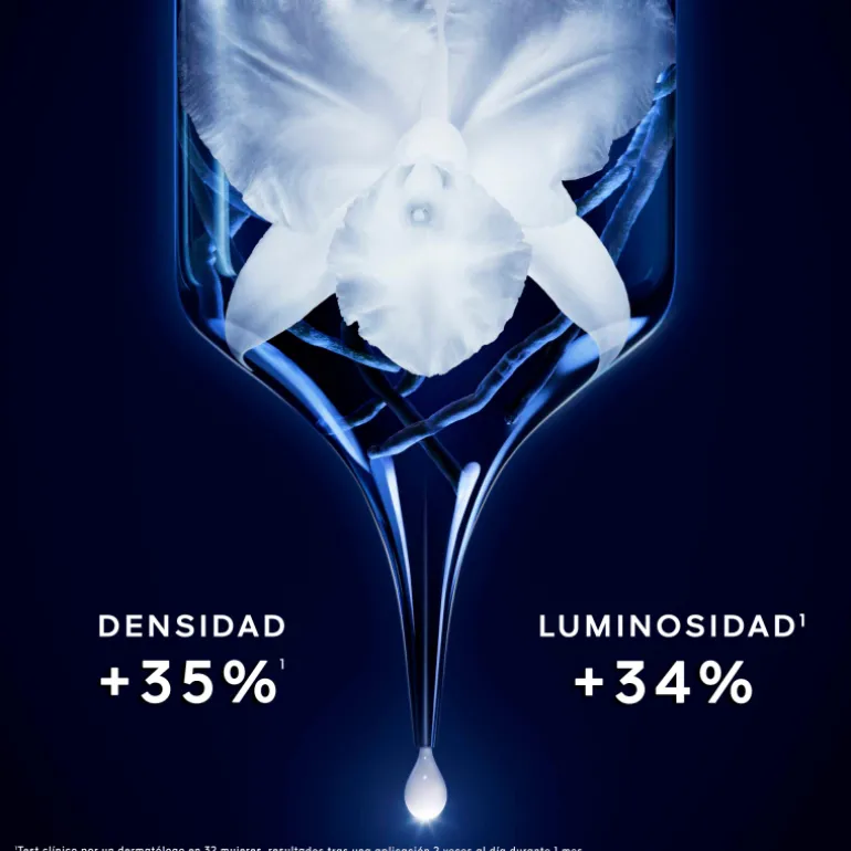 ORCHIDÉE IMPÉRIALE CONCENTRE