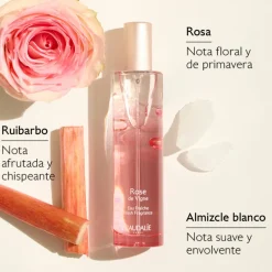Set Agua Fresca Rose de Vigne