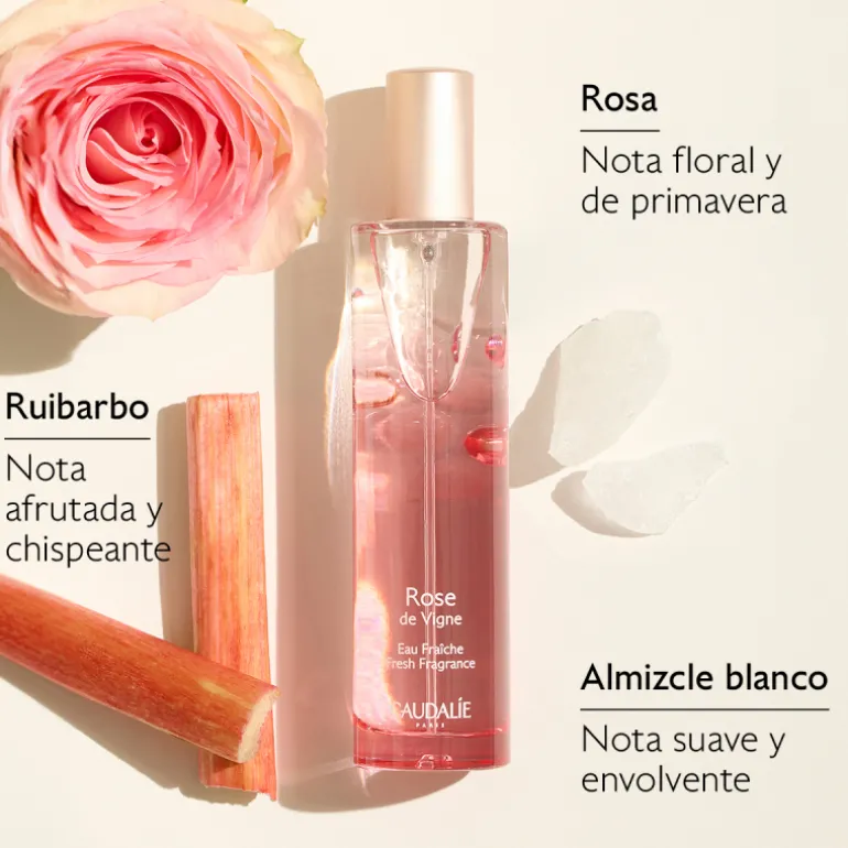 Set Agua Fresca Rose de Vigne