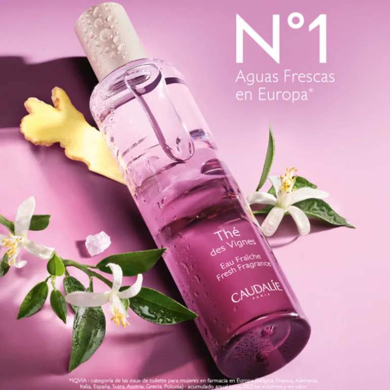 Set Agua Fresca Thé des Vignes + Regalos
