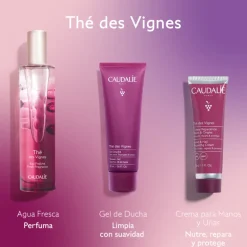Set Agua Fresca Thé des Vignes + Regalos
