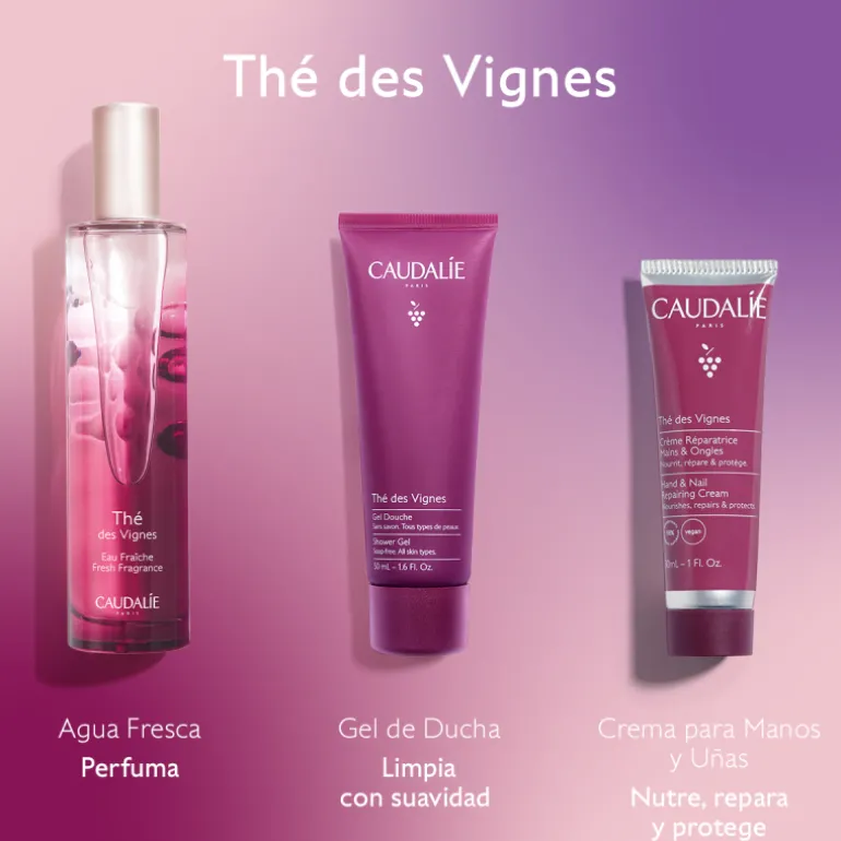 Set Agua Fresca Thé des Vignes + Regalos