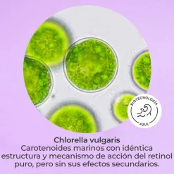 SET SEGLE RETINOL