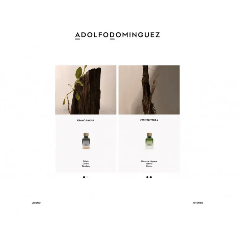 VETIVER TERRA EAU DE PARFUM VAPORIZADOR